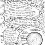 Harvesting bark and info on how to harvest, where, when.