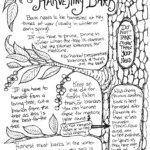 Harvesting bark and info on how to harvest, where, when.