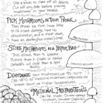 How to harvest mushrooms safely!