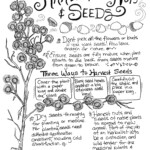 Suggestions for harvesting nuts and seeds in your ecosystem!