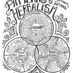A description of the overall patterns used in Traditional Western Herbalism. This allows us to use our senses to identify states of imbalance in the body, the foundational actions of herbs, and the constitutions of both illness and people. Such useful information here--a w whole system of thinking.