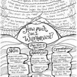 Wildharvesting guidelines based on the role in the ecosystem and type of plant.